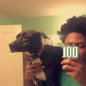 Meet your Posher, Akachi